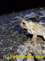 /home//u458753944/public_html/sourcegallery//McKaig Nature Center/2020-09-27/P9270710.JPG